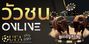 แทงวัวชนออนไลน์