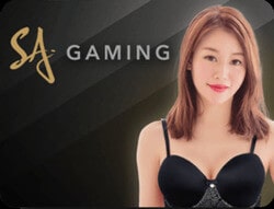 คาสิโนออนไลน์